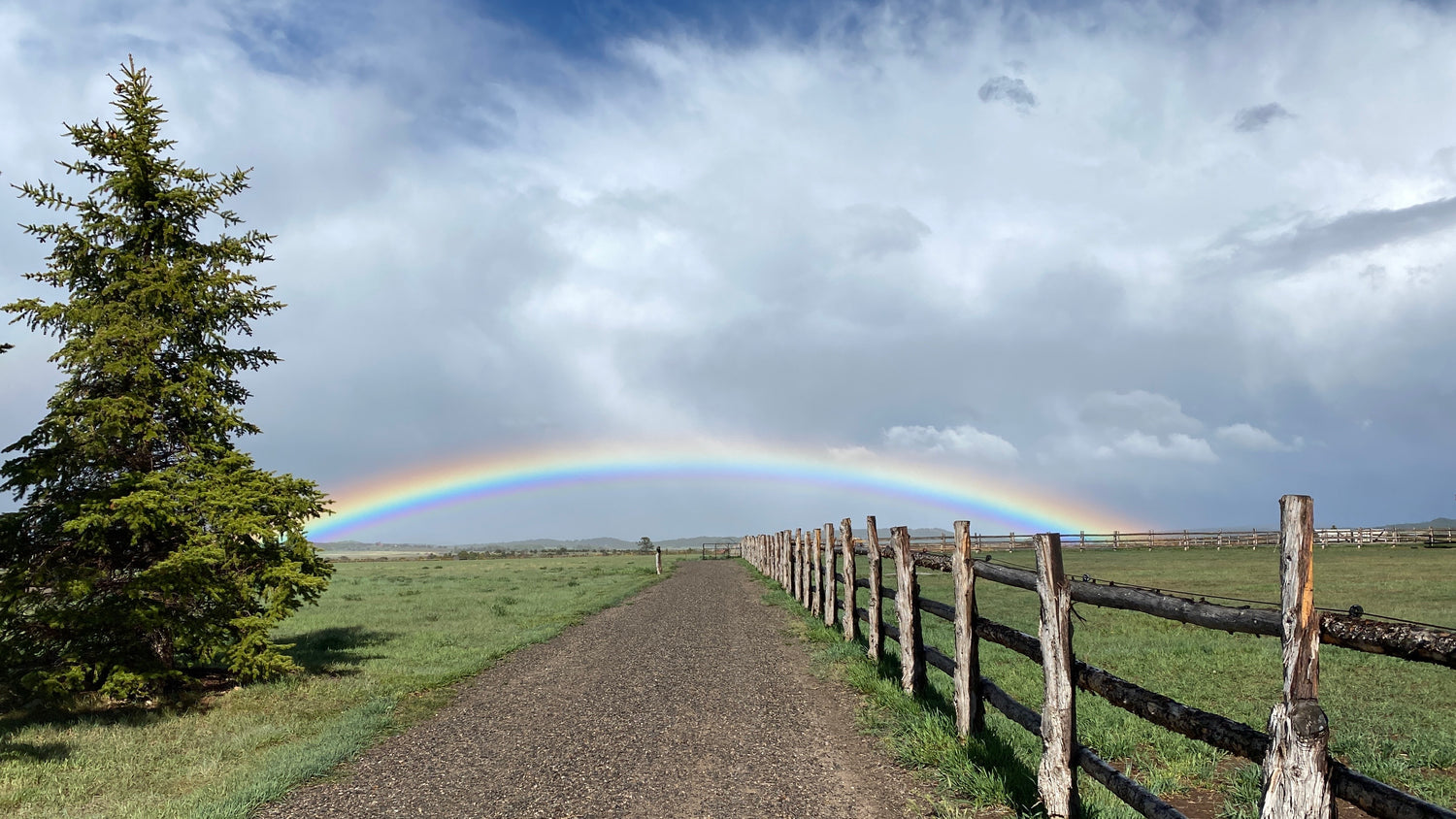 Image of rainbow at the end of a farm road in Telluride, Colorado.  There is a gravel road with a wooden fence that leads into center of photo.  There is a larger pine tree on the left side of image. 
