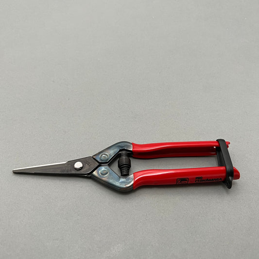 A pair of Chikimasa T-55C pruning shears with a red handle in closed position laying on a gray background